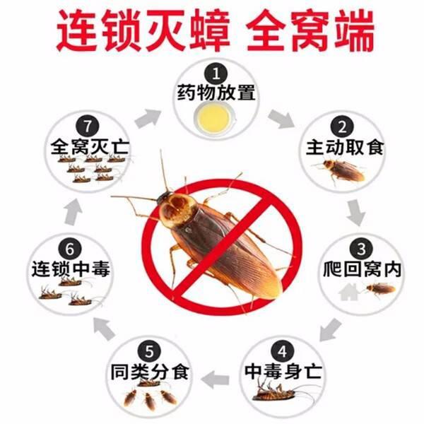 扬州灭蟑螂方法